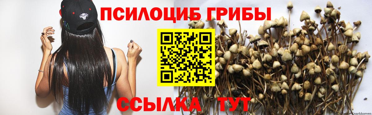 Псилоцибиновые грибы GOLDEN TEACHER  Вход с VPN  Сургут 